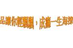 tou_ying_pian11_original